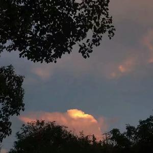 逍遥李然捆绑免费视频
