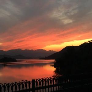 逍遥李然捆绑免费视频
